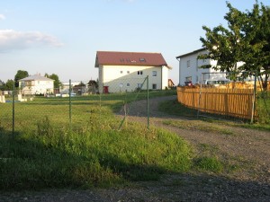 img_1331