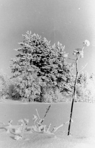 schnee2